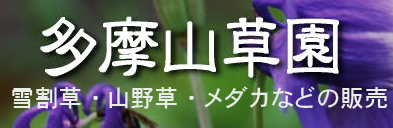 多摩山草園バナー